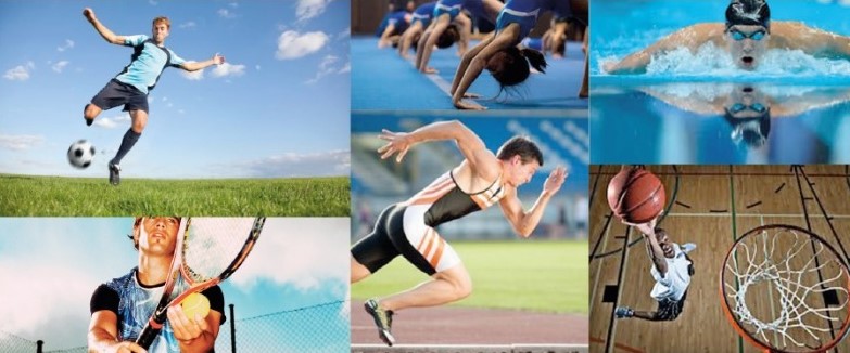 Canals prepara més d'una desena d'activitats esportives per a la Fira 2017