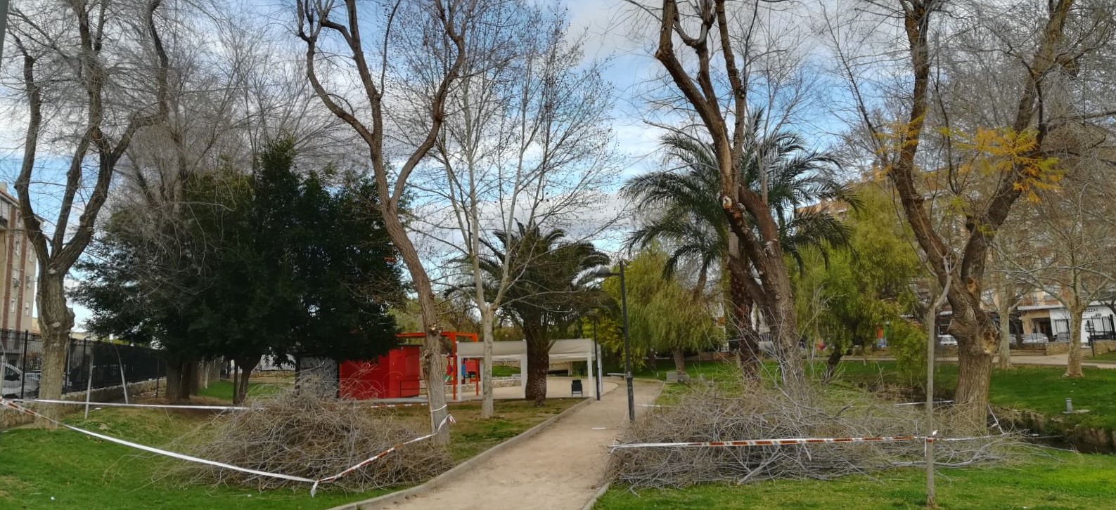 2018.03.13 L'Ajuntament comença la poda i la substitució dels arbres de l'Avinguda Jaume I