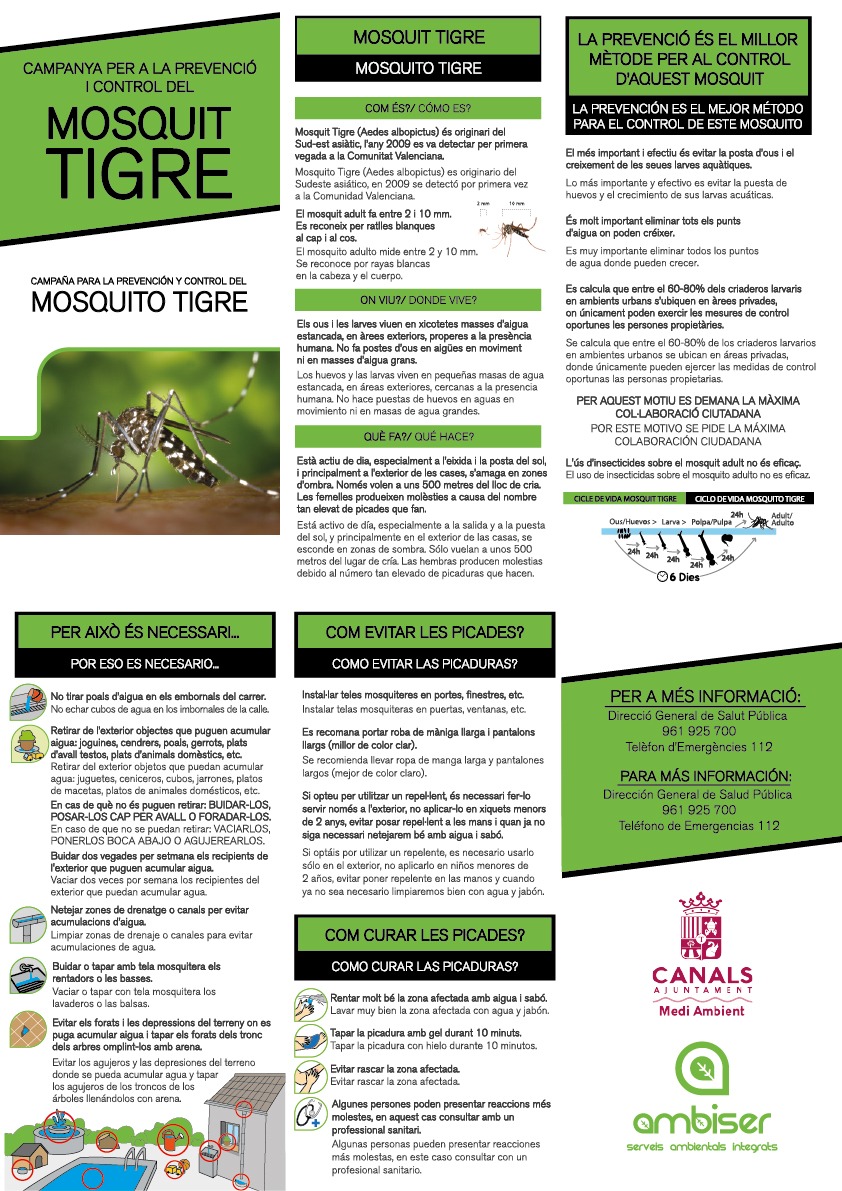 Campanya a Canals per a la prevenció i control del mosquit tigre.