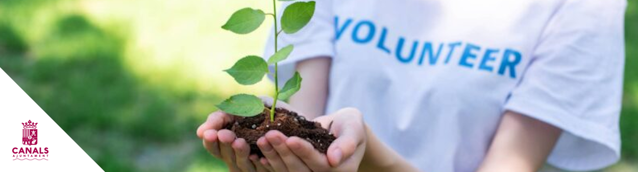 2022.04.13 A Canals s'aprova la petició de la subvenció d’activitats de voluntariat ambiental