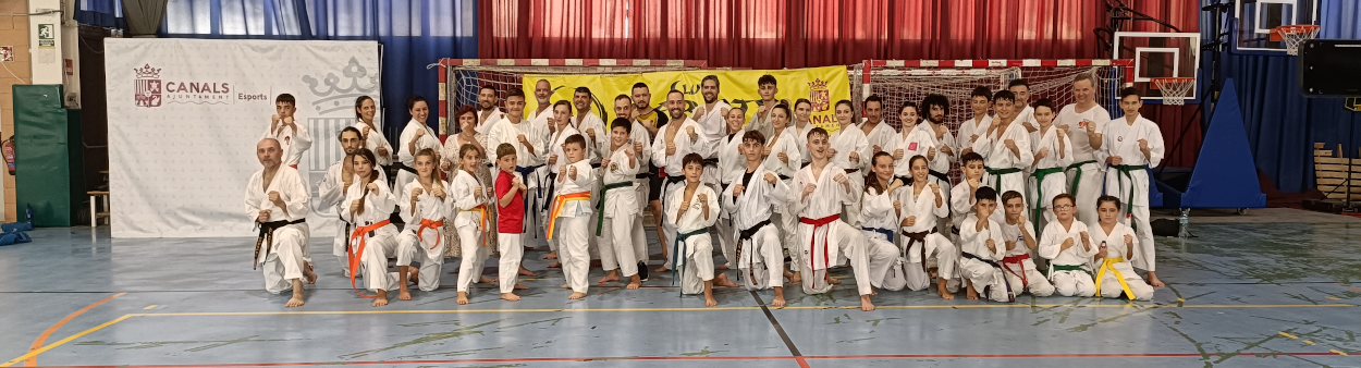 lliga automica karate a canals