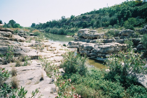 Paisatge. Ajuntament de Canals.