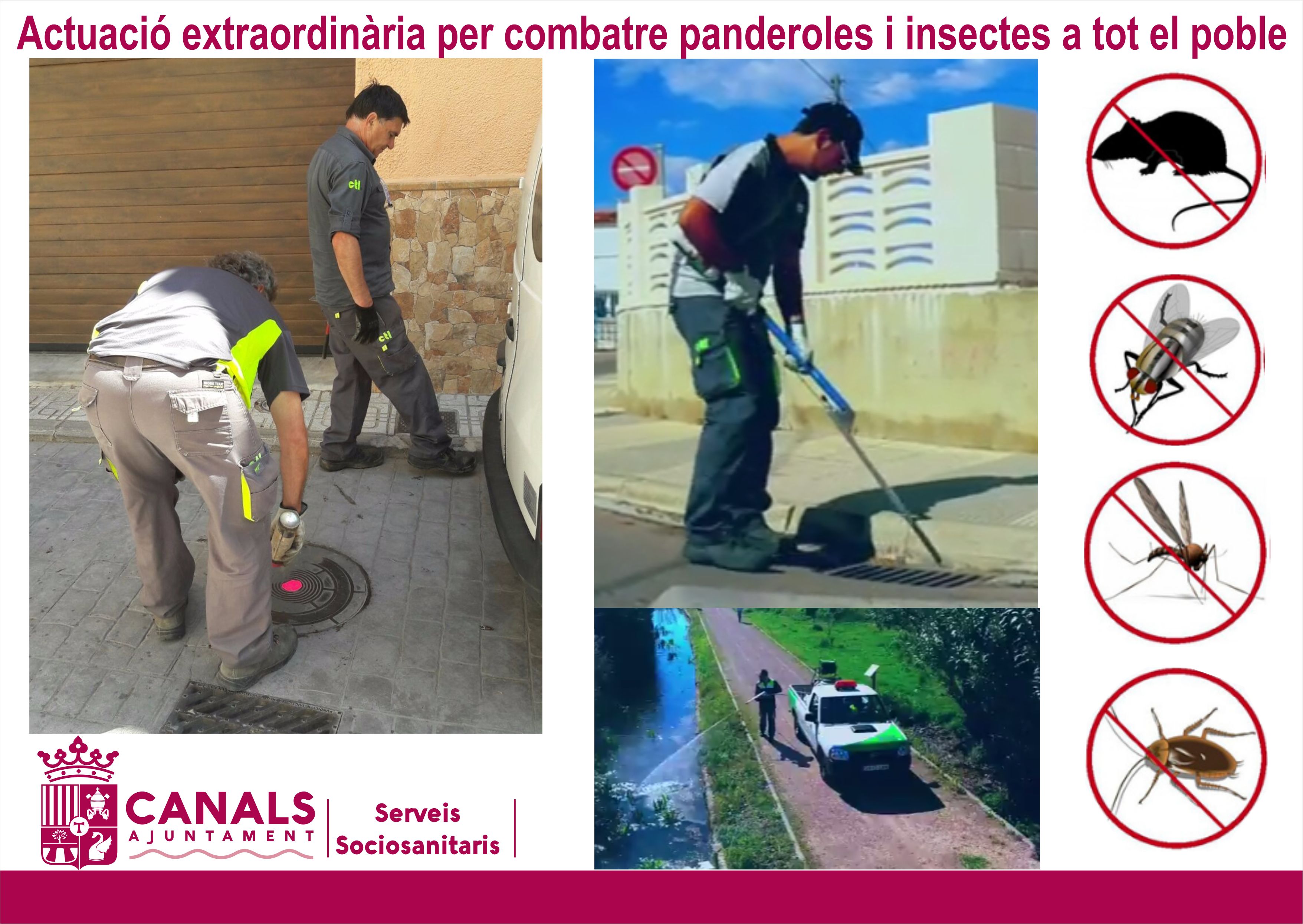 2017.05.23 Actuació combatre panderoles. Ajuntament de Canals